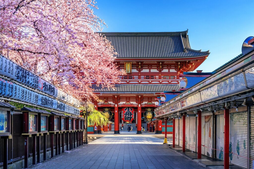 Fiori di Ciliegio e Tempio di Sensoji ad Asakusa Tokyo, Giappone