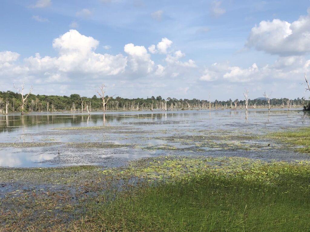 Palude Angkor