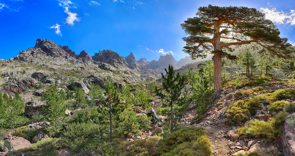 gr-20-corsica