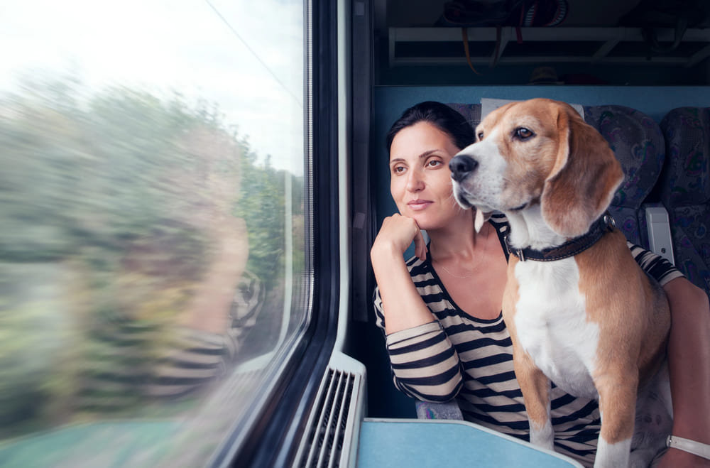 viaggiare-con-il-cane-in-treno
