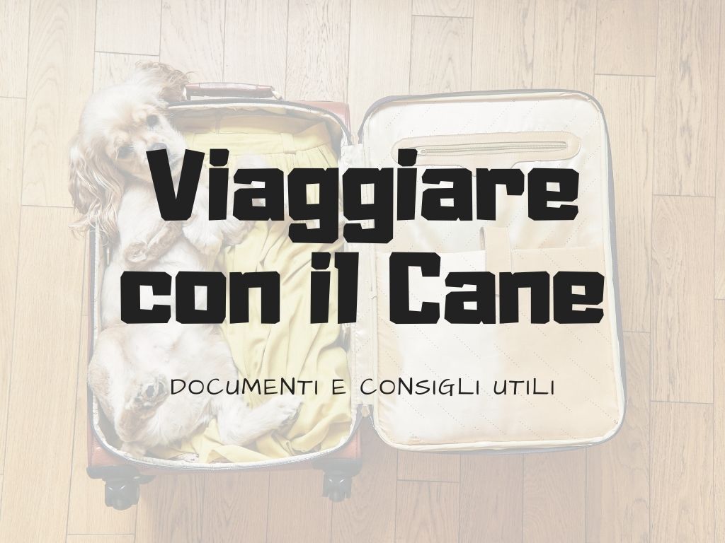 viaggiare con il cane