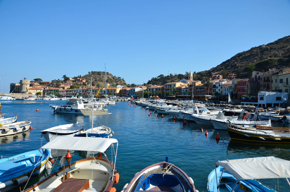 porto-isola-giglio