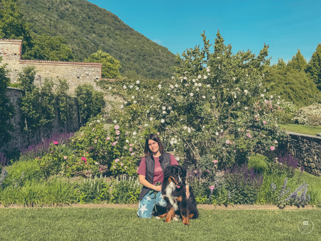 io-paloma-roseto-di-villa-della-porta-bozzolo