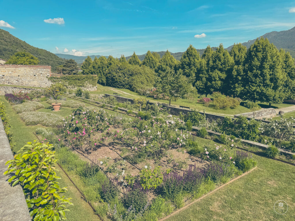 roseto-di-villa-della-porta-bozzolo