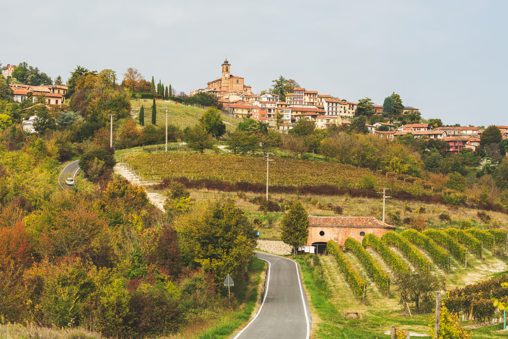 cocconato