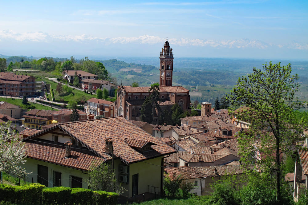 monforte